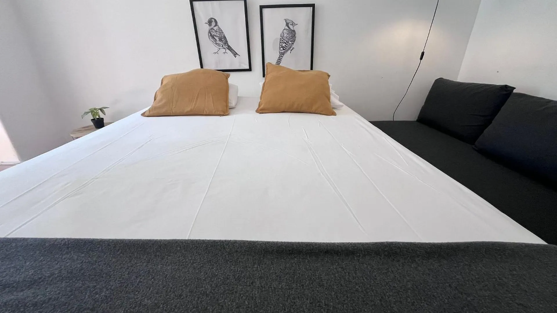 Castilho 63 Hostel & Suites Lisboa